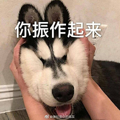 gtRB采集到表情包