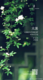 蝉声起，夏正浓
目之所及，盎然生机
#大暑##海口丽思卡尔顿酒店# 2海口·海口丽思卡尔顿酒店 ​​​​
