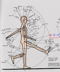 B-KS采集到人体工程学