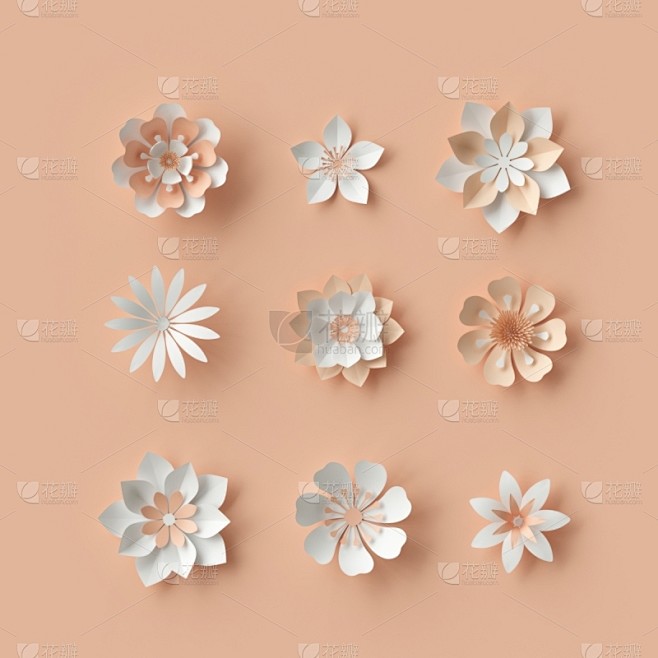 花束,三维图形,抽象,婚礼,花纹,纸花,...