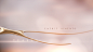 XXV Golden Globes on Behance