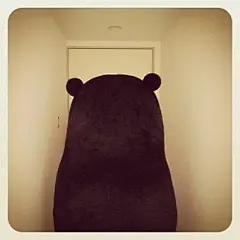 唯美 意境 熊本熊背影表情包