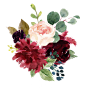 水彩花卉 水彩鲜花图片 花卉、花瓣、花蕊等 @优秀设计