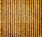 竹子背景图片竹子背景,竹子,背景,底纹边框,背景底纹..,背景底纹,其他,中国风,LOGO,banner,背景