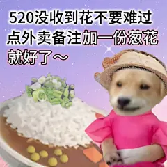 520表情包：情人节的精神状态还是太抽象了 - 小红书