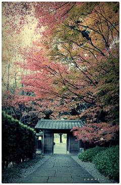 小金子采集到风景