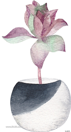 会发芽的指尖采集到插画手绘植物