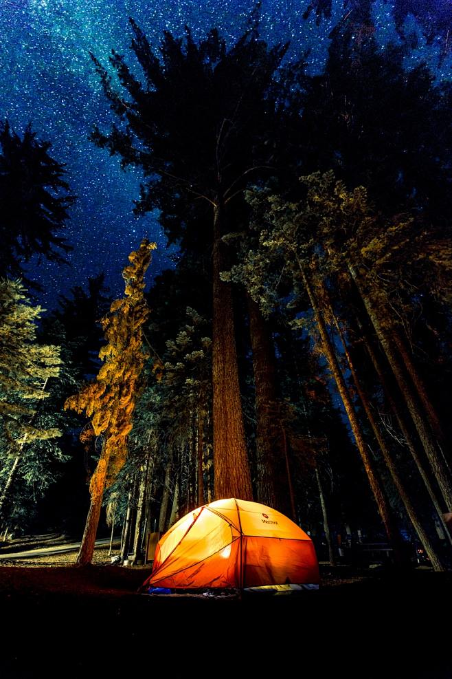 camping in forest du...