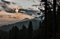 Silhouette of Tall Trees Near Mountain · Free Stock Photo