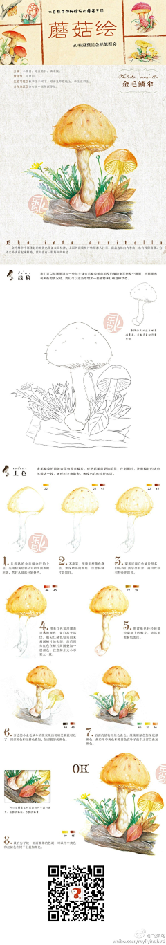 狐小绥采集到彩铅