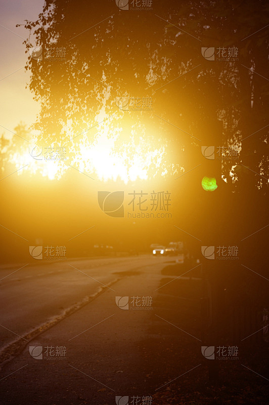 曙暮光,绿色,秋天,路,交通,斑马线,斯德哥尔摩,红绿灯,垂直画幅,湿