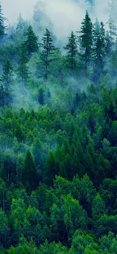 地产销售中介文艺实景正能量营销日签全屏竖版海报(1)