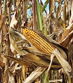 微信图片_20251030101602