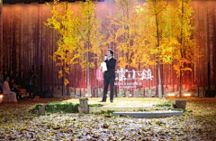 正在无比烦躁的找图采集到舞台