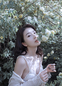 奴暴走小崔采集到高雅