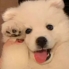 嘿，我的小可爱