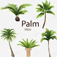 手绘椰子树矢量图高清素材 手绘 植物 椰子树 矢量图 免抠png 设计图片 免费下载