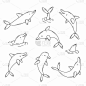 一套黑白可爱的海豚在简单的涂鸦风格。矢量插图。