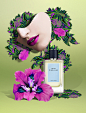 Perfume shoot for Prada and 2x4