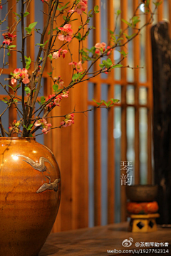 SZN采集到花艺
