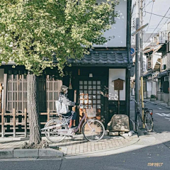 你无理!采集到街景