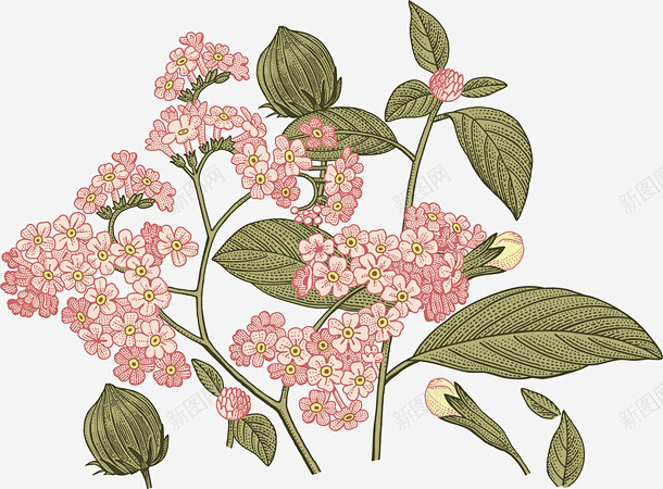 粉色手绘的花朵和绿叶 免抠png 设计图...