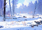 In the forest