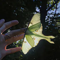 @一百个大不刘   背景图