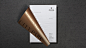 Brand Design design logo visual identity