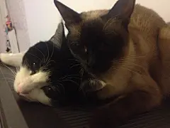 来自相册