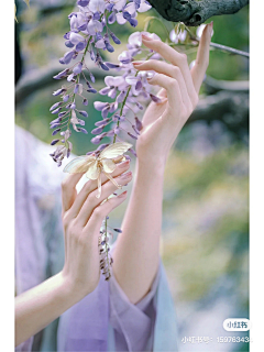 柳灵l采集到古风