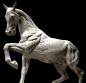 Anatomy of a Horse sculpture for sale - photo 1