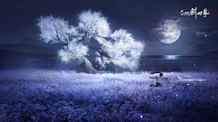 徒步的鱼采集到banner