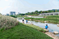 【EADG出品】重塑河道生命系统丨深圳茅洲河碧道·光明段生态修复试点