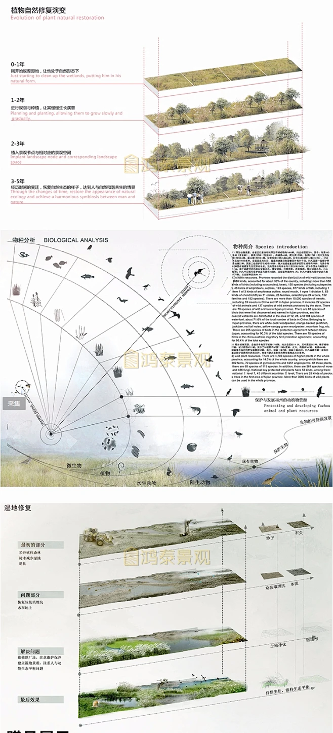 景观空间分析图PSD素材湿地公园小清新前期分析竞赛风ps分层素材-淘宝网-花瓣网