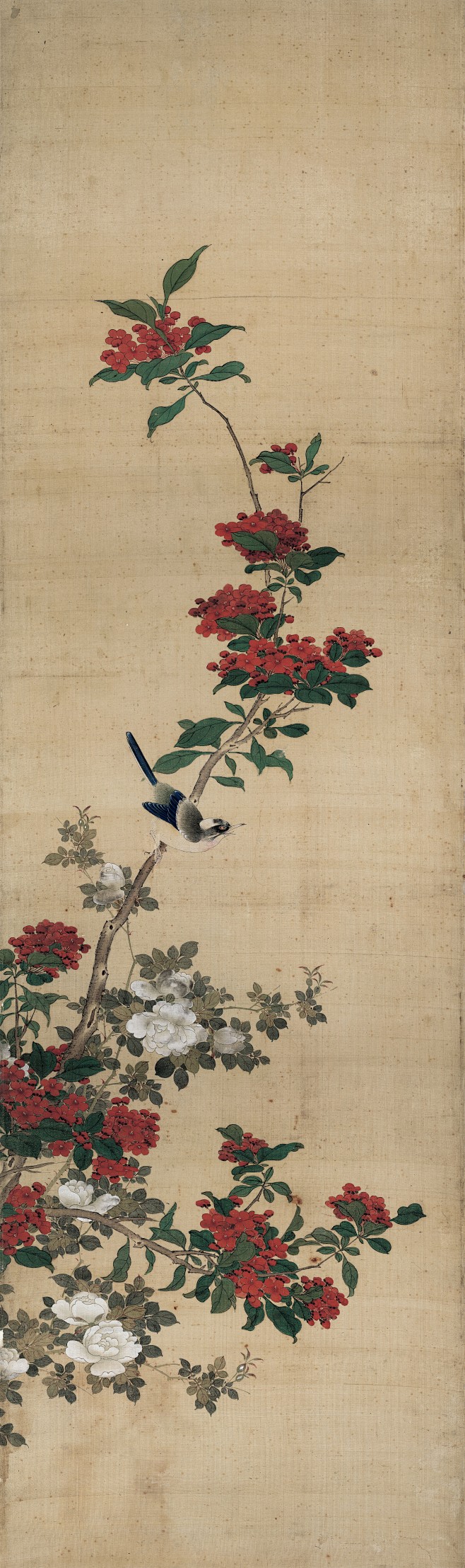 古画-花卉参考