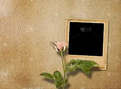 一束美丽的玫瑰与幻灯片邀请
