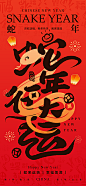 2025蛇年新年元旦春节新春节日节庆海报
