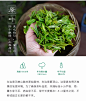 茉莉花茶2020新茶特级散装浓香型蒙顶山四川银顶飘雪明前茶叶500g-淘宝网