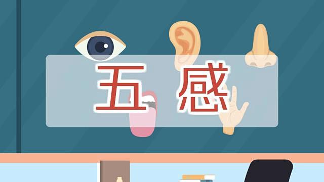 五感_百度百科 : 五感是指形、声、闻、味、触，分别对应人的视觉、听觉、嗅觉、味觉、触觉。