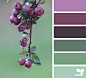 Design Seeds : Design Seeds color palettes ... posted daily for all who love color.