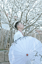 青岛樱花季男生汉服写真摄影摄影设计