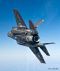 好fancy啊，好有科技感啊，可是啥时候能用呢？？愁人

Lockheed Martin F-35 Lightning II #飞机#