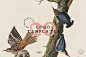100多个复古徽标标志动物鸟类插图设计素材 Vintage Logo Creator Kit插图(46)