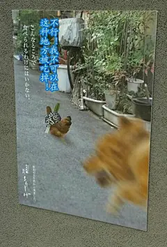 11区一家烤鸡肉串店的海报太感人了，看完感觉不吃一串都对不起它的长途爬涉...（net）