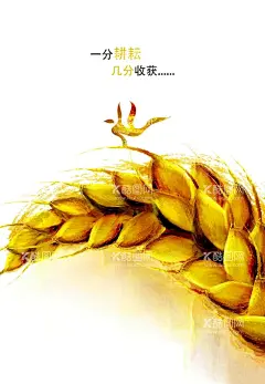 一分耕耘 几分收获  - 源文件下载【酷图网】小麦,一分耕耘,几分收获,麦浪,金色麦浪,丰收节,丰收,丰收节海报,丰收画面,丰收节广告,农家乐挂画,饭庄挂画,庄稼节,丰收画册,农民,新农村,农业,农业展板,种子,种子站,稻穗,麦穗耕田,收割,农民丰收,草堆,丰收海报,丰收设计,丰收背景,秋天,丰收季节,稻田,庄稼,五谷丰登,丰收的喜悦,