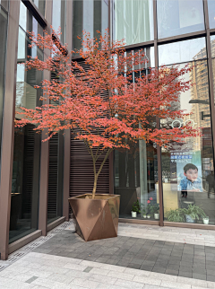 YINchuanchuan采集到花箱、花钵植物意向