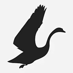 飞翔的大鹅图标_88ICON https://88icon.com 飞翔 大鹅