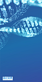 4b2261105f75be5e5c3d6c8bc28fa5f0 光效灯光曲线海报背景模板DNA链条特效几何商务会议AI矢量素材