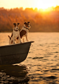 Guzide : Voyage.. by Elena Shumilova on 500px.com